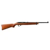 10/22 cal .22 LR semi-automatic rifle