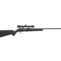 A22 cal .22 LR semi-automatic rifle with scope