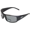 Bifocal polarized sunglasses (+2,50)