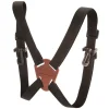 Binocular harness