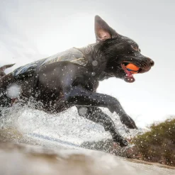 Camo MX5 Dog flottation device^Onyx Hot