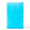 Chiller Ice pack - Medium^Coleman Discount