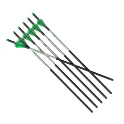 Crossbow Carbon Arrows - 6