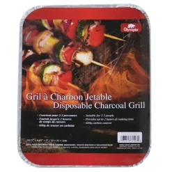 Disposable charcoal grill