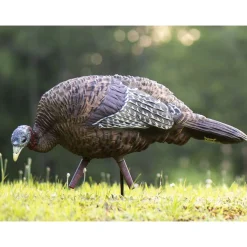LCD Feeder Hen Decoy