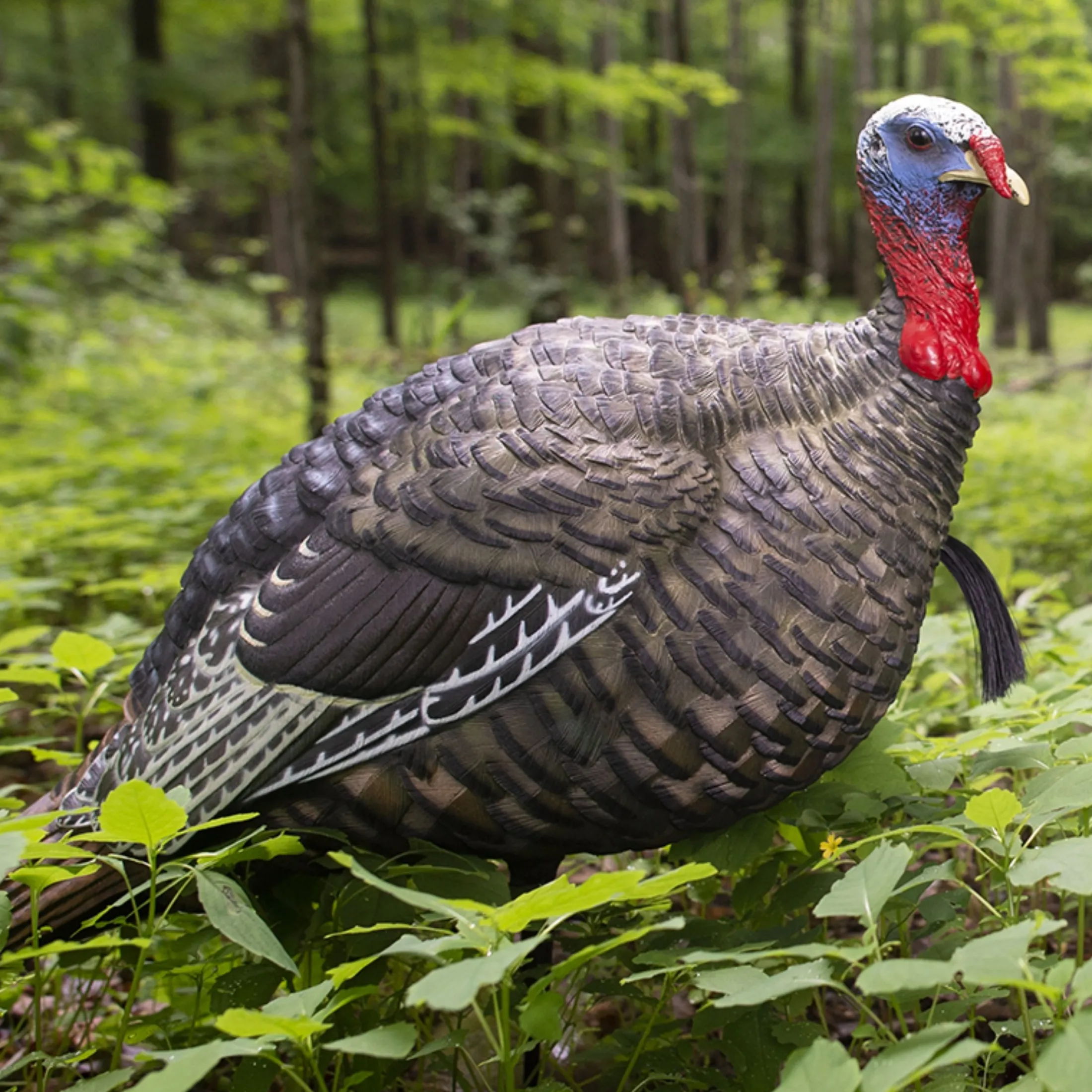 LCD Quarter Strut Jake Decoy