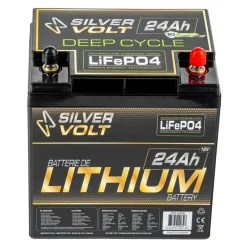 LiFePO4 Rechargeable Lithium battery - 12.8 V