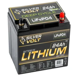 LiFePO4 Rechargeable Lithium battery - 12.8 V