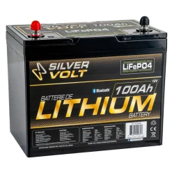 LiFePO4 Rechargeable Lithium battery - 100 A