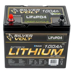 LiFePO4 Rechargeable Lithium battery - 100 A