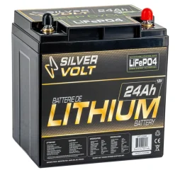 LiFePO4 Rechargeable Lithium battery - 12.8 V^Silver Volt Hot