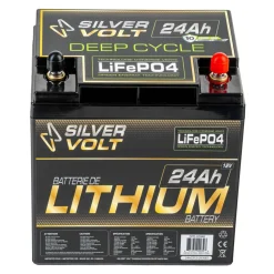 LiFePO4 Rechargeable Lithium battery - 12.8 V^Silver Volt Hot
