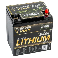 LiFePO4 Rechargeable Lithium battery - 12.8 V^Silver Volt Hot