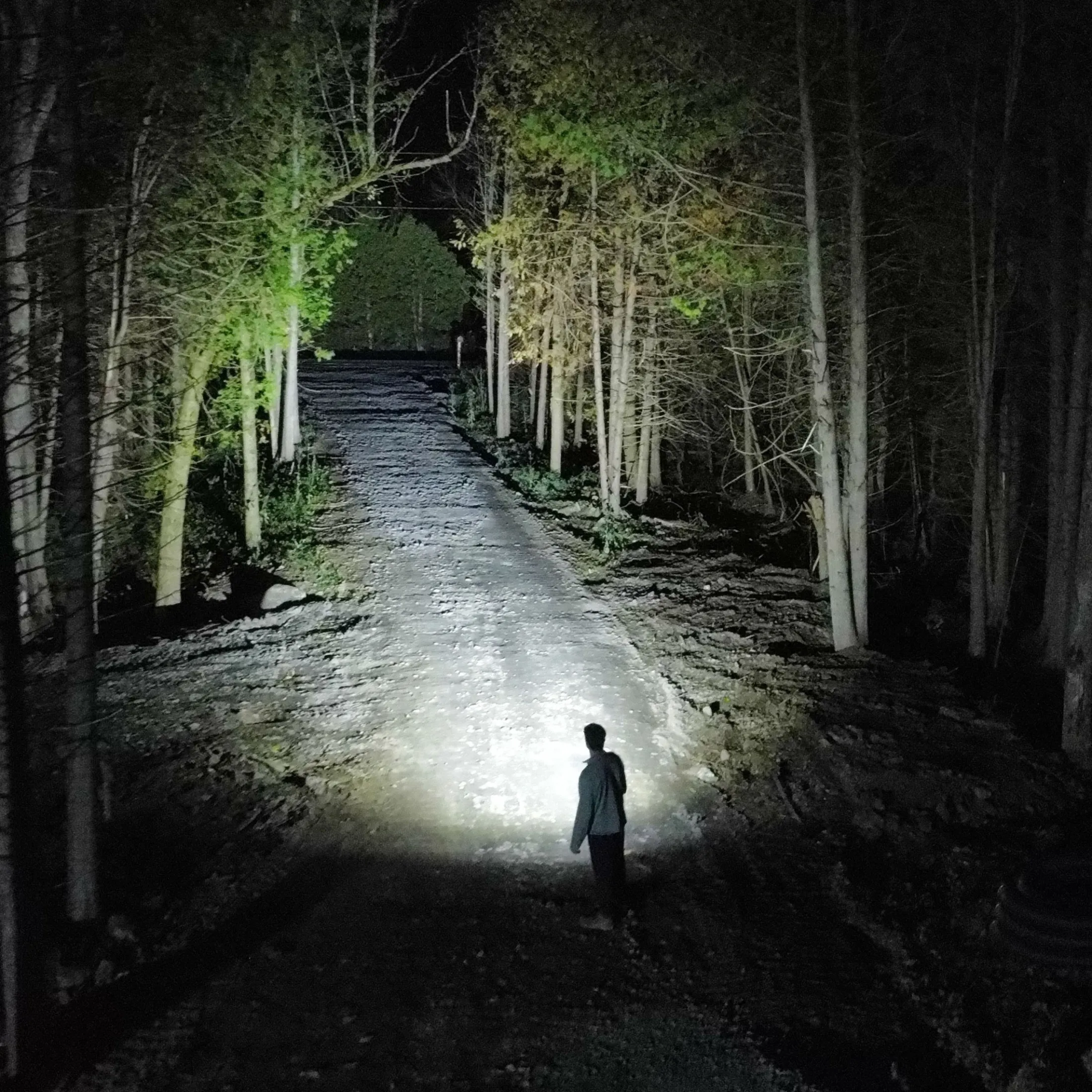 Predator 2000 Rechargeable flashlight