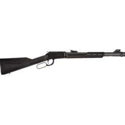 Rio Bravo cal .22 LR lever action rifle^Rossi