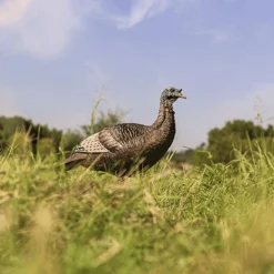 Thunder chick upright Decoy