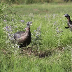 Thunder chick upright Decoy
