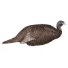 Thunder chick breeder Decoy^Flextone Best