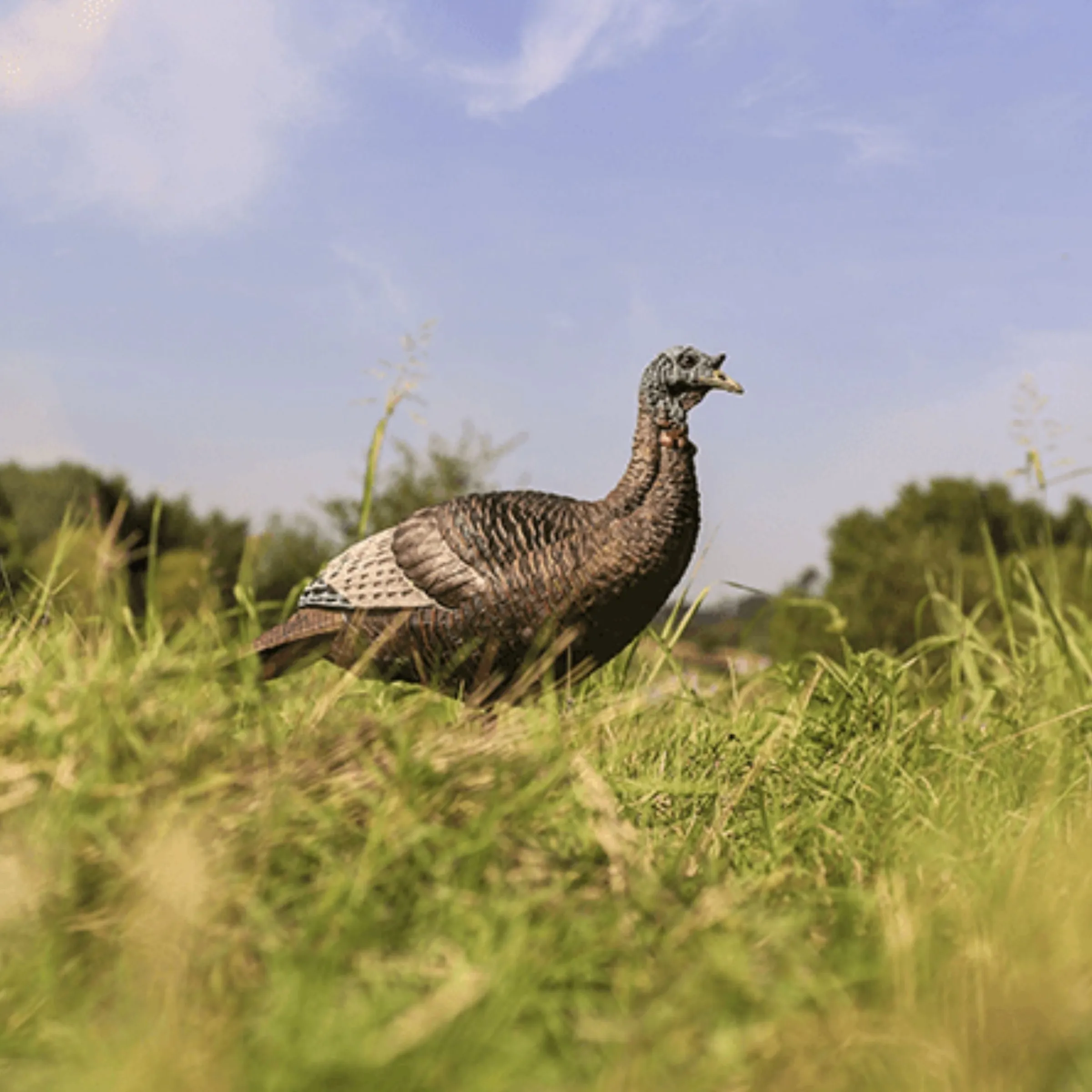 Thunder chick upright Decoy^Flextone New