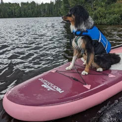 Water dog Flotation device for dogs^Pronature Hot